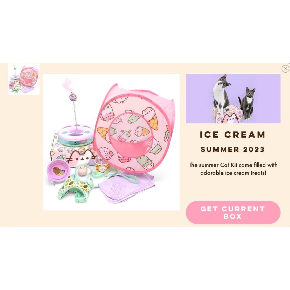 2023 Pusheen Summer Ice Cream Cat Kit